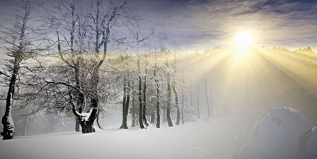 Low winter sun breaking through bare snow-dusted trees, light raking across the slope.